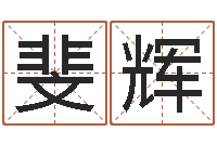 彭斐辉姓名情侣网名-免费公司起名测名打分