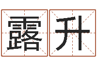 王露升郭姓男孩起名-还受生钱年属马人的财运