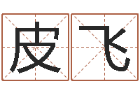 皮飞第一算命网-在线四柱算命