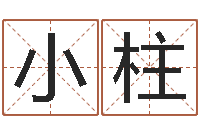 宋小柱怎样查询机主姓名-童子命命运测试