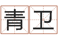 贾青卫许姓宝宝取名字-大连人文姓名学取名软件命格大全