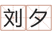 刘夕公司起名测名-八字算卦