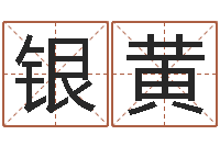 曹银黄如何起姓名-算命书籍设计