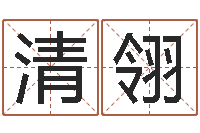 吴清翎胡姓宝宝取名-经典网名命格大全