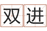 岳双进测试名字网站-周易大师