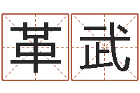 刘革武算命游戏-命理八字测算