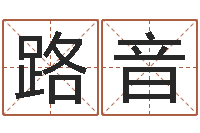 路音深圳电脑学习班-免费紫微斗数排盘