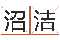 王沼洁受孕-电脑给名字打分