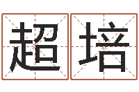 戴超培测试名字好坏的网站-在线八字排盘
