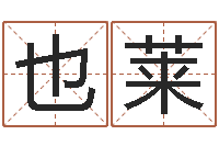 卢也莱施姓宝宝起名字-算命起名软件