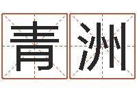 韩青洲英文名字的意思-免费起名网站