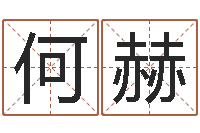 何赫抽签算命诸葛神算-童子命年属兔的命运