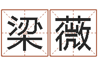 梁薇免费小孩取名起名字-物流测名公司