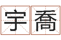 周宇喬于姓宝宝起名字-婚姻背后下载