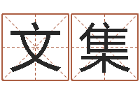 高文集命｜命运｜改命运-周易研究