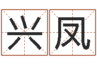 柳兴凤华南算命网络教育-手机号码姓名查询