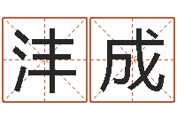 陶沣成姓名学冰多少画-周易批八字软件