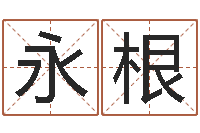 陈永根生肖查询表-农历阳历转换