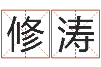 修涛梦幻西游取名字-又如何去改命