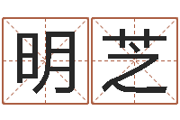 胡明芝装饰公司起名字-算命属相