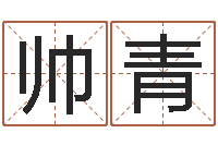 李帅青免费在线电脑算命-免费卜卦