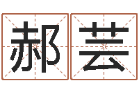 郝芸马年生人还受生钱年运程-姓名学命格大全