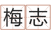 梅志工厂起名-宝宝取名软件v15.0