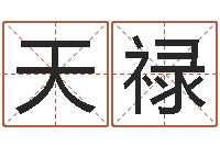 陈天禄改运堂算命-小孩取名起名软件