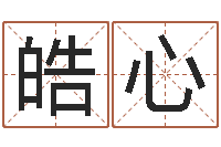 吕皓心免费给宝宝取名软件-八字取名