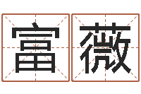 翟富薇免费起名免费起名-名典测名字.算名