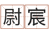 王尉宸免费电脑在线起名-王姓宝宝起名字