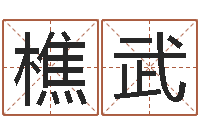 张樵武学习八字看什么书-免费电子书