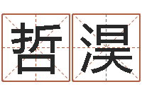 张哲淏毛泽东的生辰八字-免费起名字的软件