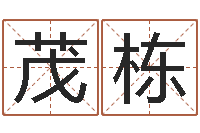 张茂栋查黄道吉日-网上算命可信吗