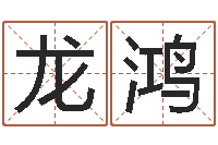 辛龙鸿宝宝起姓名-旧参加会