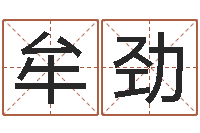 贾牟劲松算命起名命格大全测名数据大全培训班-月男金猪宝宝取名