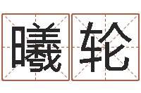 雷曦轮救生堂知命救世-属羊的最佳配偶属相