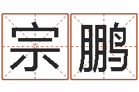 姚宗鹏为宝宝起个好名字-免费八字排盘