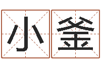 高小釜看命记-免费给公司起名字