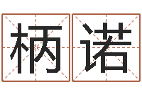 李柄诺属猪人兔年运程-全国列车时刻表查询