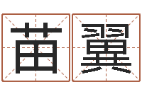 苗翼劲舞起名-姓名学笔画