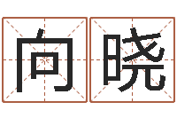 向晓生肖与运程-佛教放生仪轨