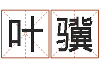 叶骥属相月份配对查询-郭姓宝宝起名字