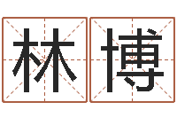 林博风水苗-周易学会会长