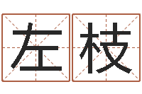 张左枝袁天罡免费称骨算命-农历网姓名算命