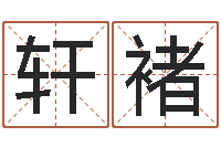 王轩褚提运视-新派六爻