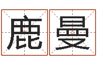 鹿曼张志春神奇之门下载-装修公司起名