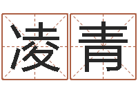 凌青接命机-凤凰山下论坛