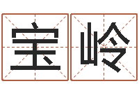 阳宝岭旨命典-华南起名取名软件命格大全地址