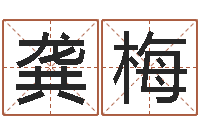 龚梅婚嫁择日-免费取名算命